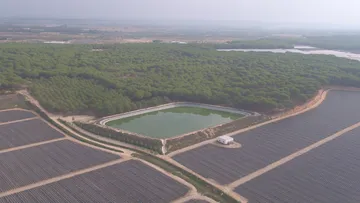 Vista aerea de los cultivos en la zona de Doñana