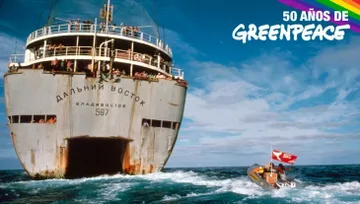 Zodiak de Greenpeace ostigando a un carguero ruso