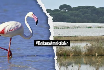 Salvad Doñana