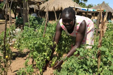 Foto de un persona cultivando su huerto en Uganda.