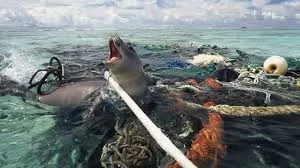 Situación en los mares por las redes abandonadas y plasticos a la deriva.
