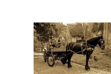 Foto de un carromato tirado por un caballo. Forma de repareto y movim,iento de mercancias de hace años.