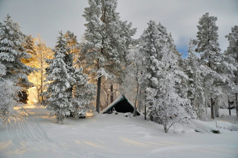Laponia, paisaje